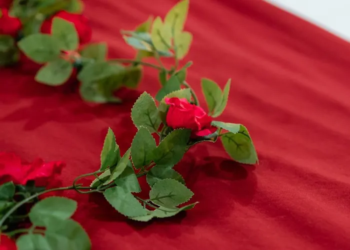 Le Qube Romantique By Prestige Living - Sauna & Balneo 2 Places - Montdidier (Somme)